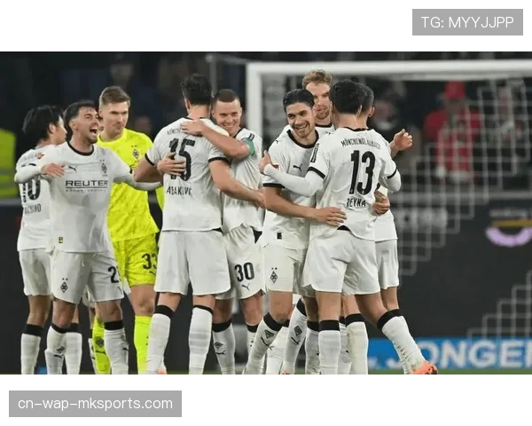 霍芬海姆主帅复盘 肯定球员在逆境中的拼搏精神 霍芬海姆主帅复盘 肯定球员在逆境中的拼搏精神